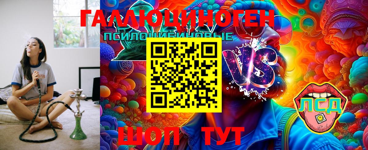 Псилоцибиновые грибы Cubensis  Вход с VPN  Клинцы 