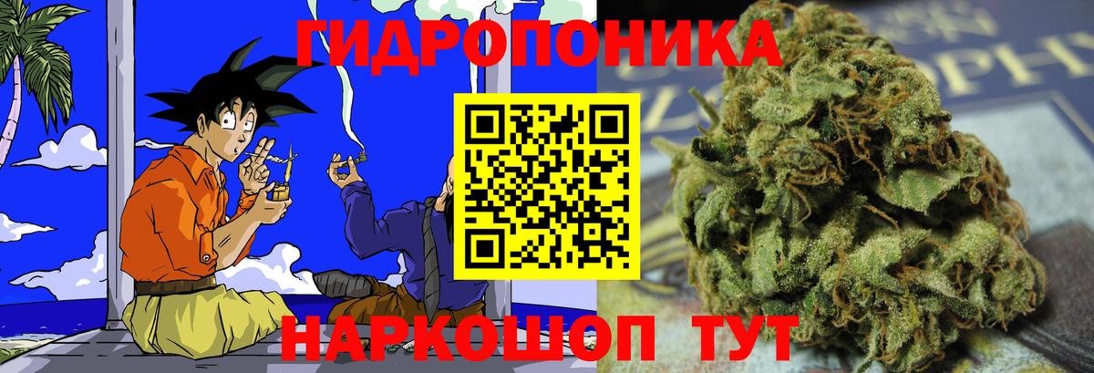 Конопля OG Kush  Марихуана Amnesia  Вход с VPN  Шишки марихуана планчик  Клинцы 